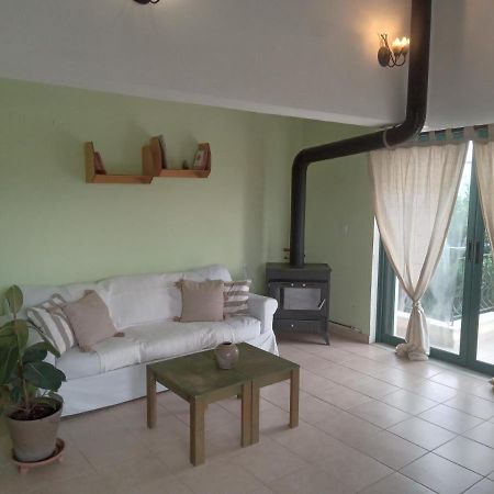 The White Rabbit Guesthouse Eco-Lodge "Cosy Apartment" 普萨克迪亚 外观 照片