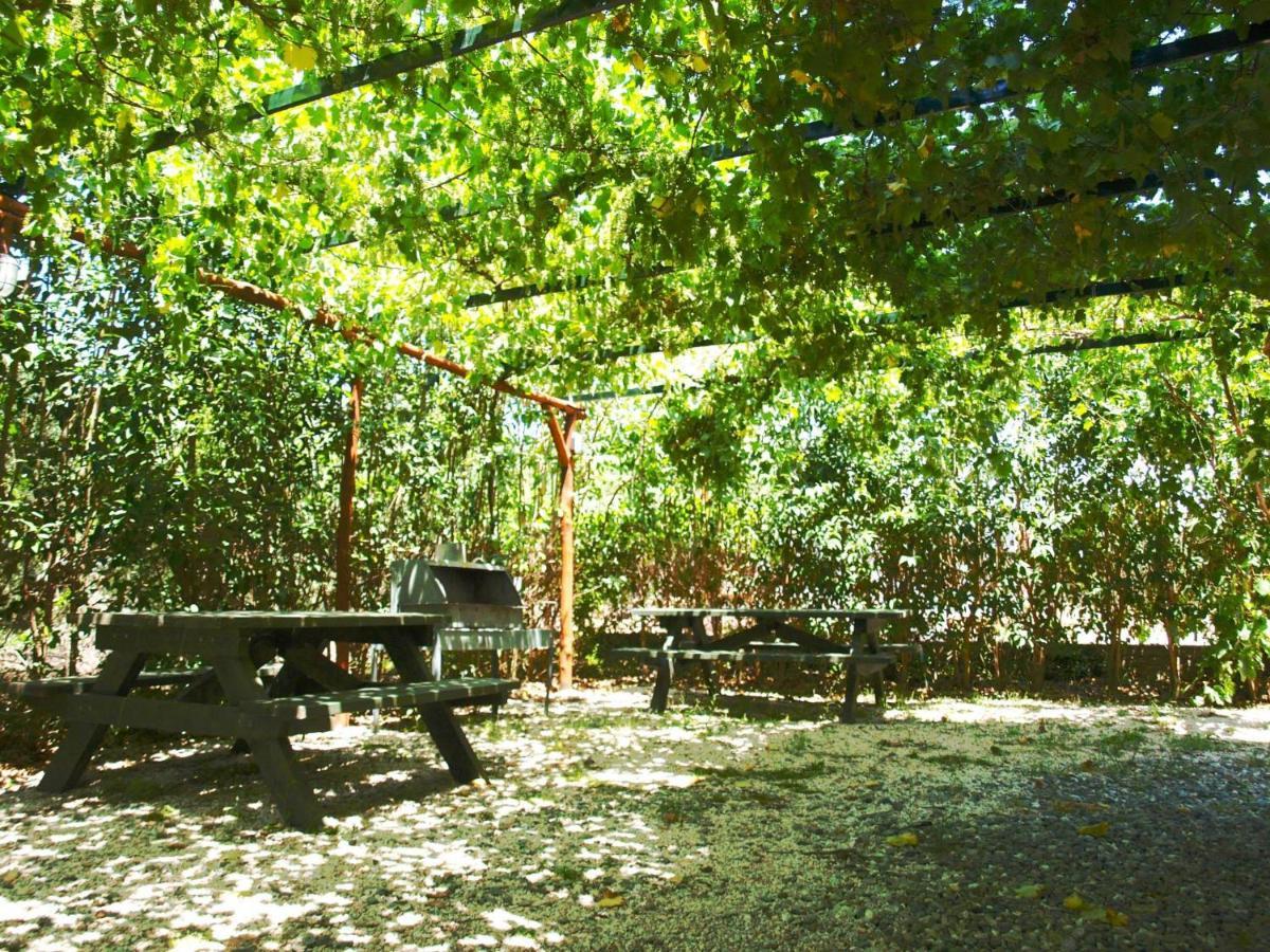 The White Rabbit Guesthouse Eco-Lodge "Cosy Apartment" 普萨克迪亚 外观 照片