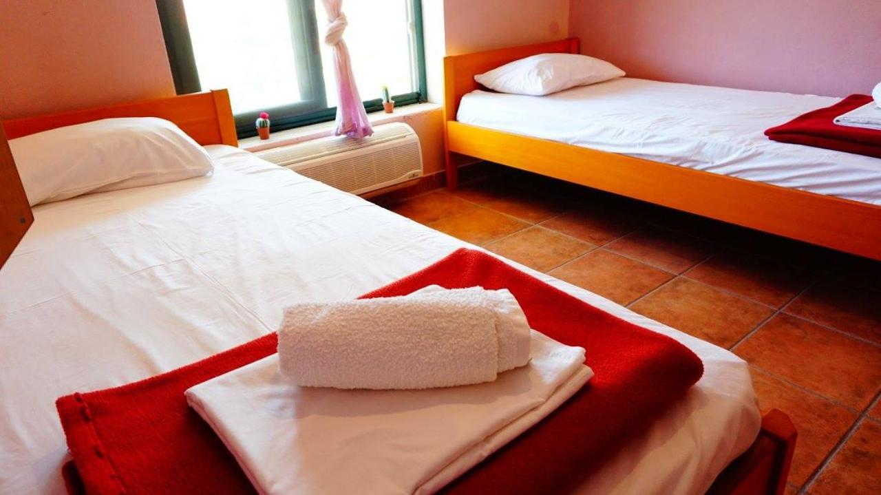 The White Rabbit Guesthouse Eco-Lodge "Cosy Apartment" 普萨克迪亚 外观 照片