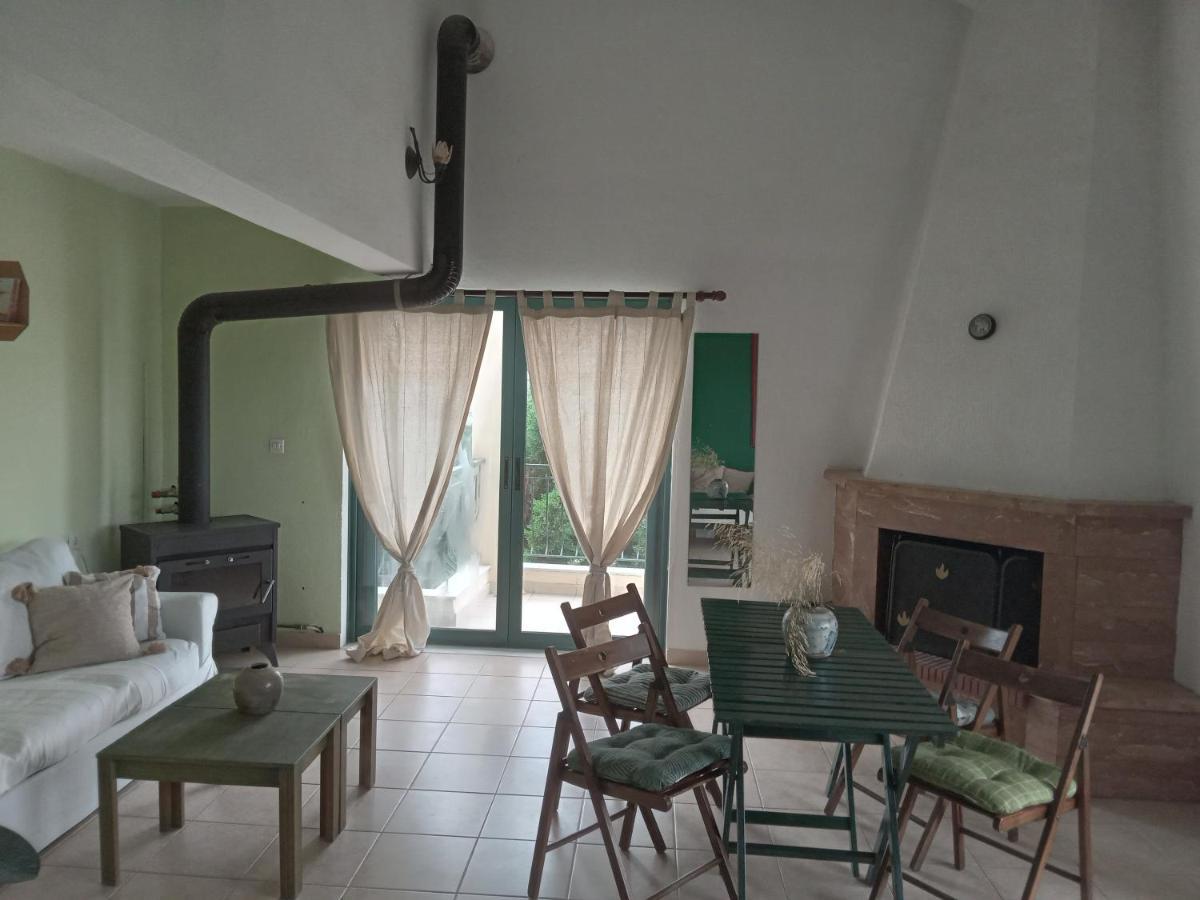 The White Rabbit Guesthouse Eco-Lodge "Cosy Apartment" 普萨克迪亚 外观 照片