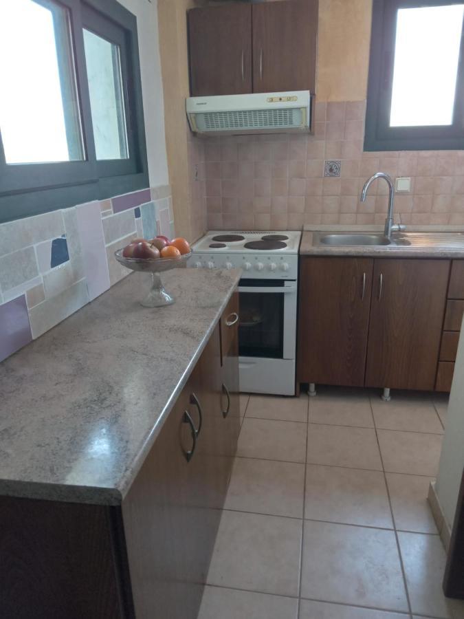 The White Rabbit Guesthouse Eco-Lodge "Cosy Apartment" 普萨克迪亚 外观 照片
