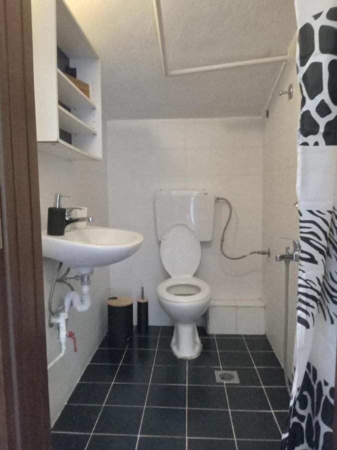 The White Rabbit Guesthouse Eco-Lodge "Cosy Apartment" 普萨克迪亚 外观 照片