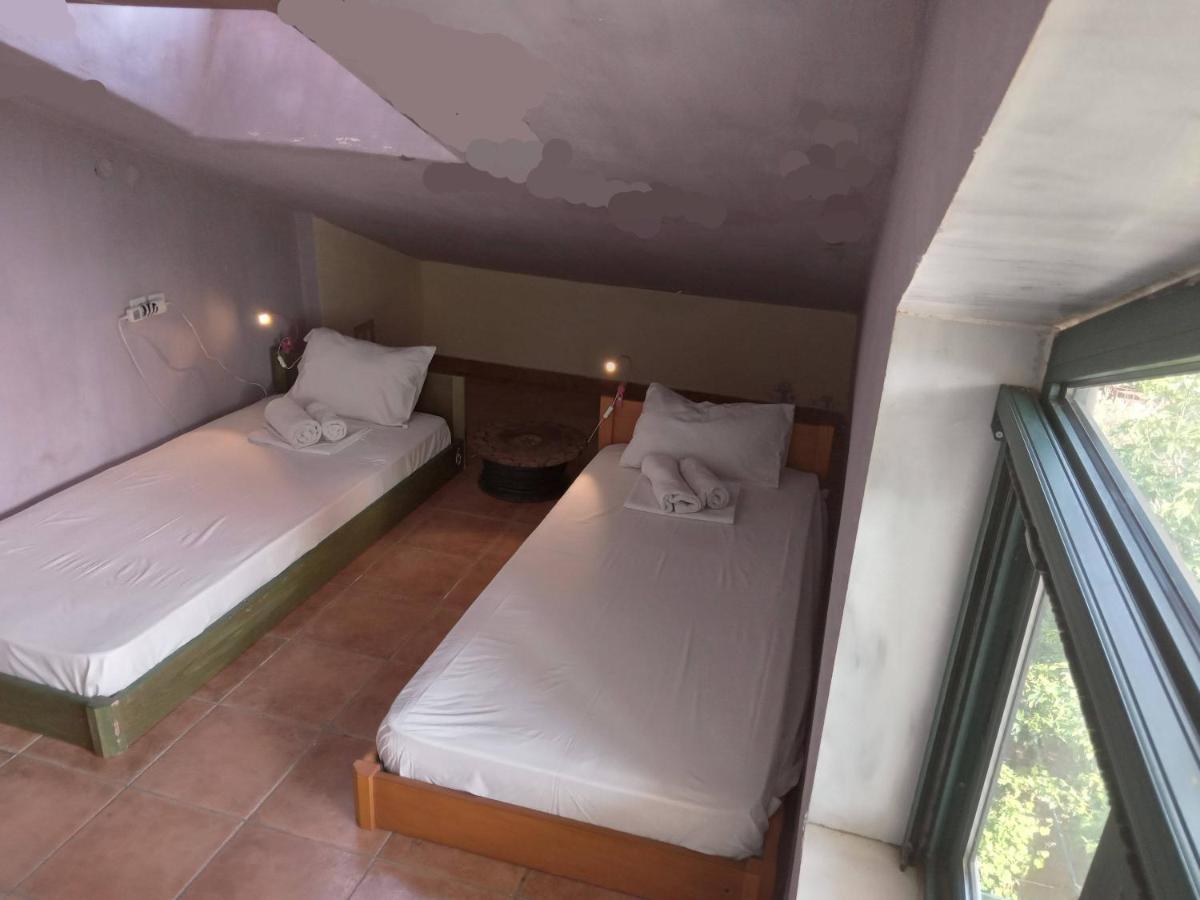 The White Rabbit Guesthouse Eco-Lodge "Cosy Apartment" 普萨克迪亚 外观 照片