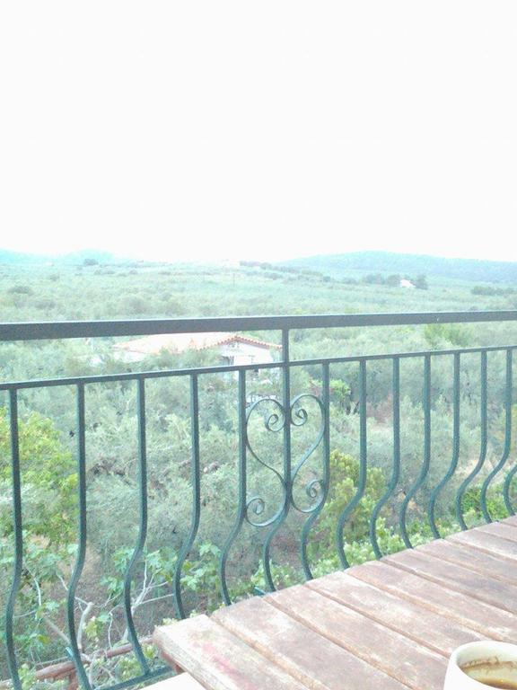 The White Rabbit Guesthouse Eco-Lodge "Cosy Apartment" 普萨克迪亚 外观 照片